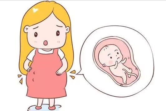 怀孕香港验血查男女准吗,试管、备孕、孕期能不能打新冠疫苗?最新权威解答来