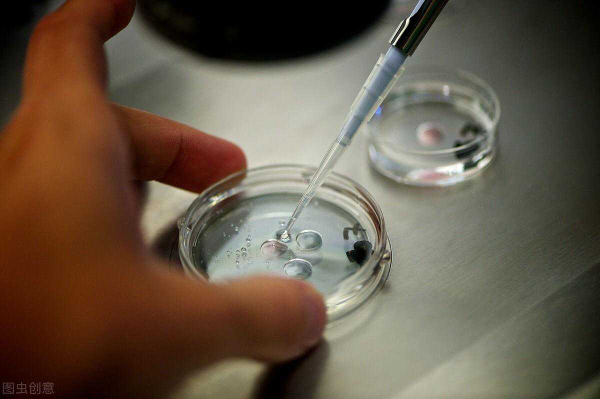 邮寄香港验血鉴定性别费用,试管婴儿取卵取到空卵泡，到底是谁的错？！