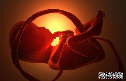 香港验血男女流程费用_怀孕多久能够去香港抽血判定胎儿性别，最早六周即可