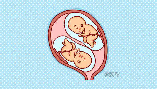 香港验血准确率是多少,备孕期吃什么生双胞胎