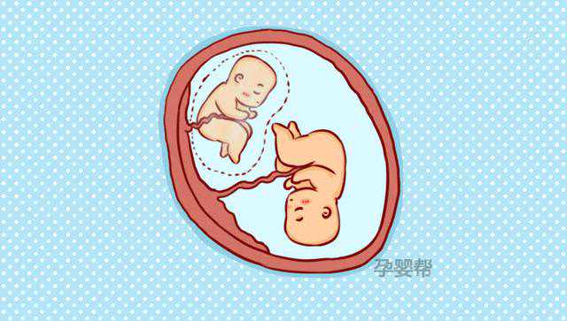 香港验血准确率是多少,备孕期吃什么生双胞胎