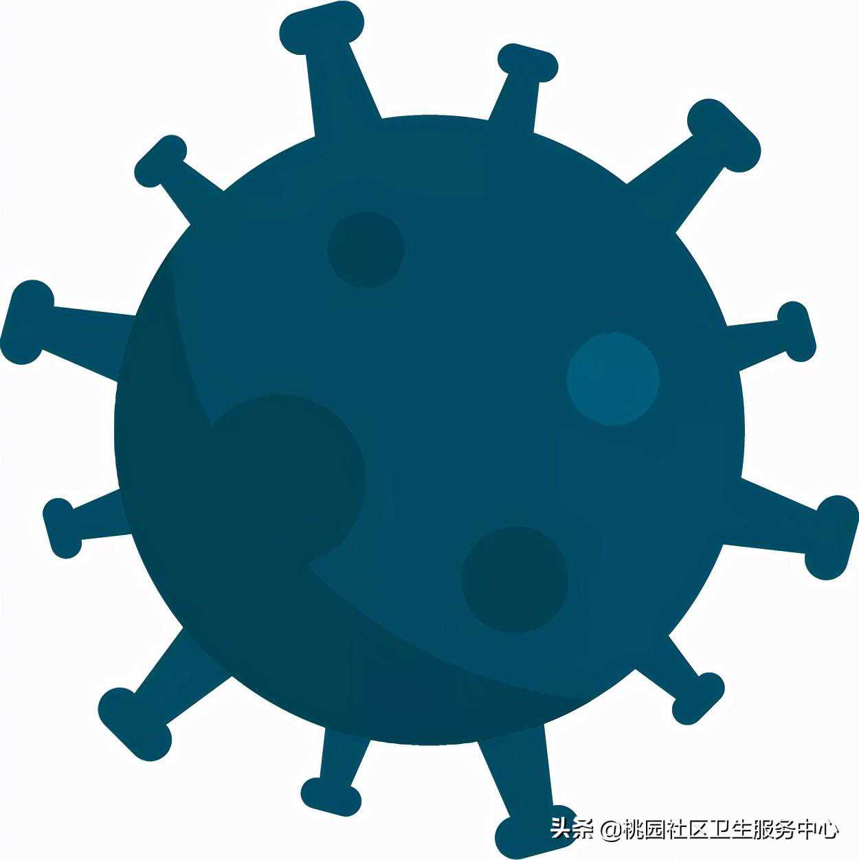 香港验血两个月准吗,备孕期间男性能接种新冠疫苗吗？