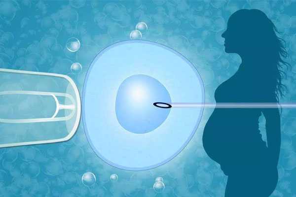 香港验血验胎儿性别准吗,精子碎片率高可以做试管吗？做几代试管好？