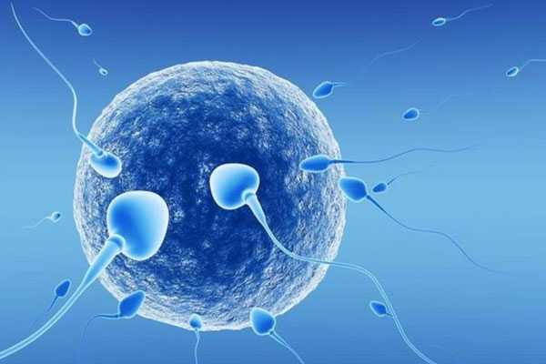 香港验血验胎儿性别准吗,精子碎片率高可以做试管吗？做几代试管好？