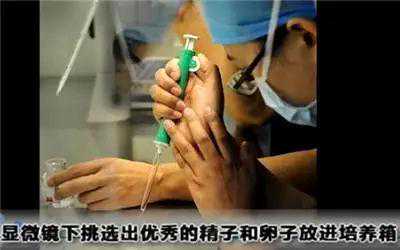 香港验血可以测什么影响吗,做试管婴儿全过程，看完真的心疼女性一万遍！