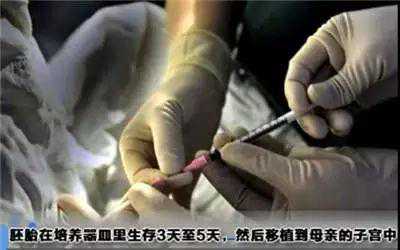 香港验血可以测什么影响吗,做试管婴儿全过程，看完真的心疼女性一万遍！
