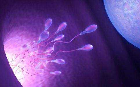 香港验血能测出染色体,二胎一直怀不上？备孕期间避开精子杀手，这些事情男